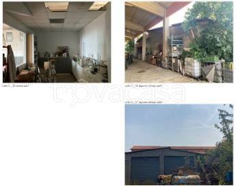 immagine annuncio 3 di 8