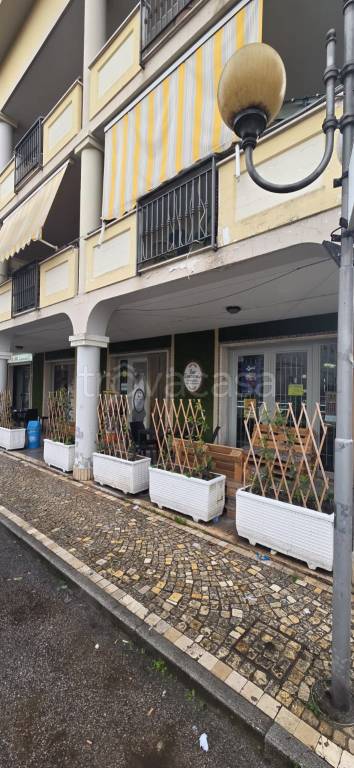 immagine annuncio 5 di 7