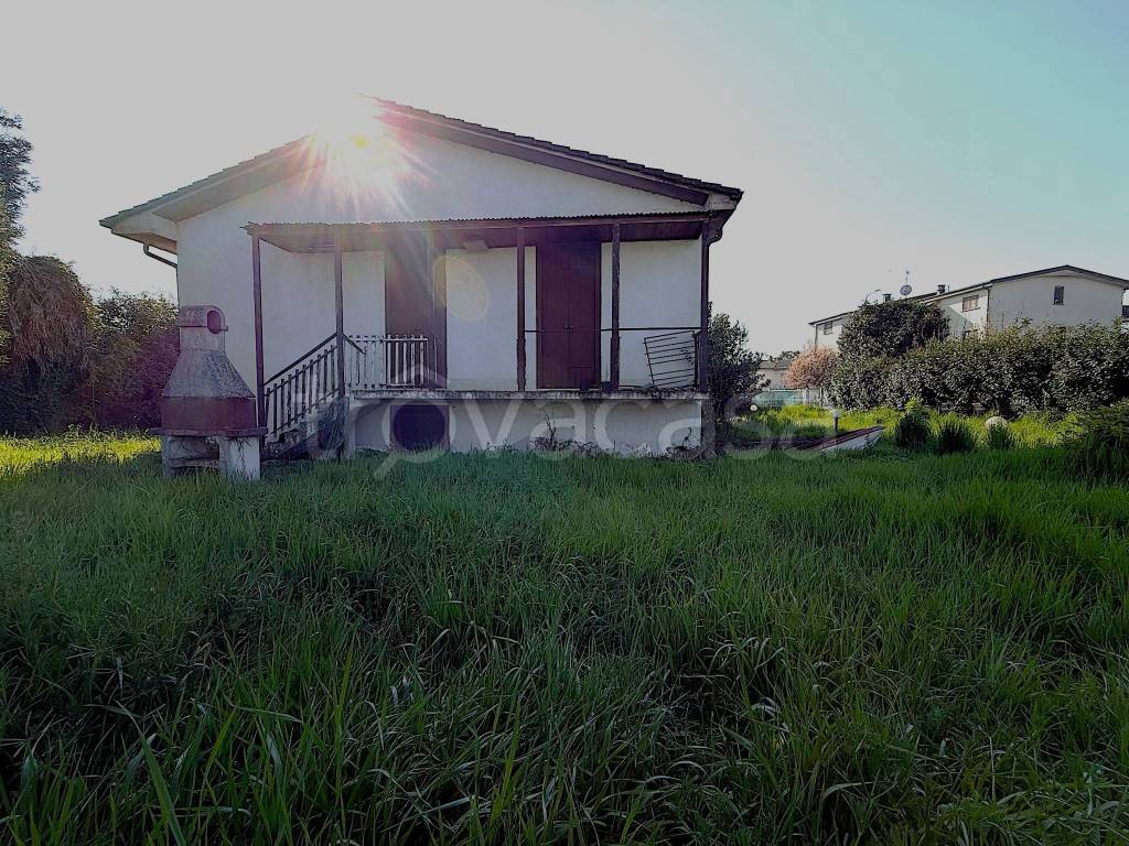 immagine annuncio 1 di 14