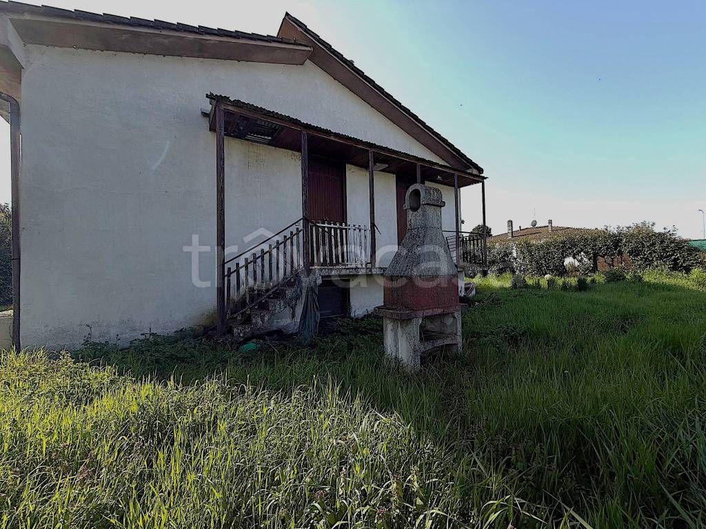 immagine annuncio 2 di 14