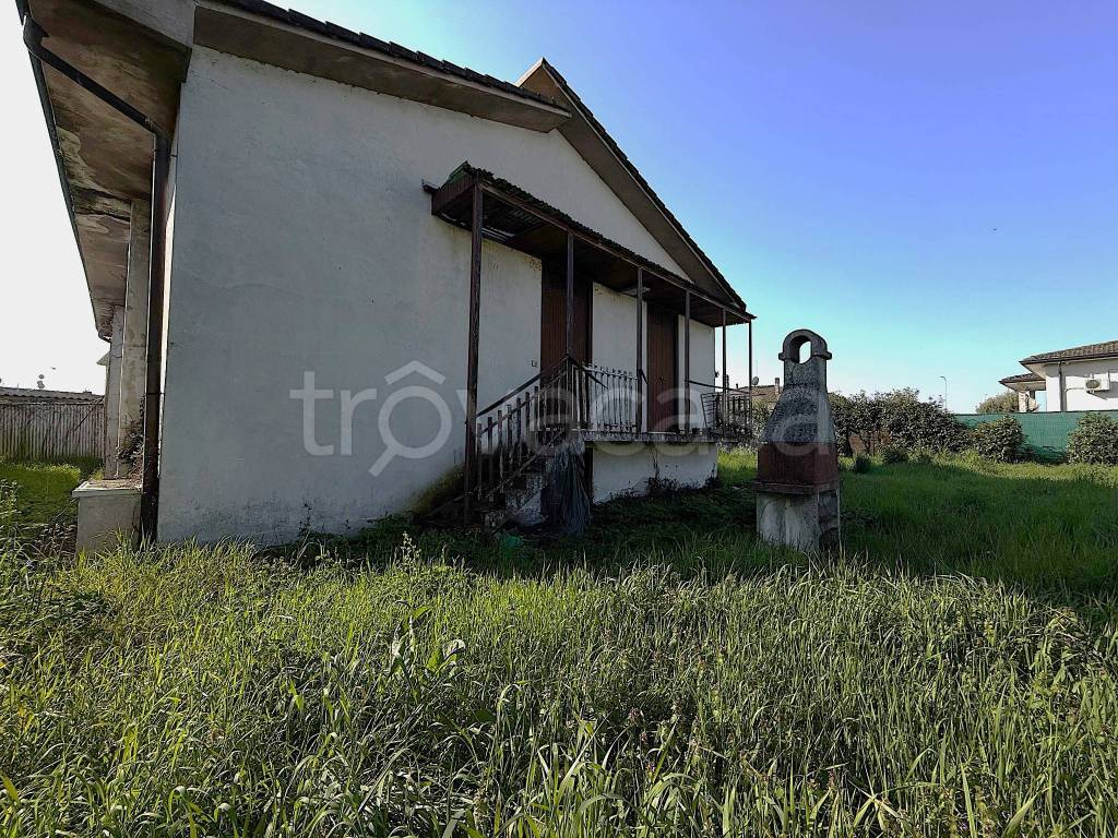 immagine annuncio 4 di 14