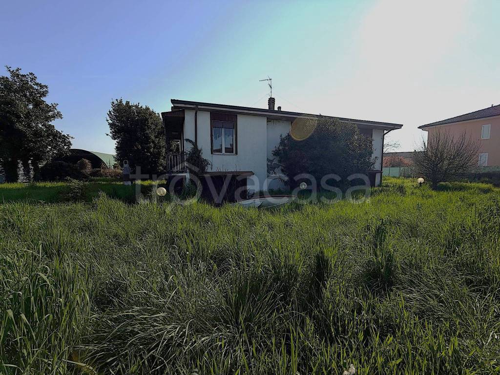 immagine annuncio 6 di 14