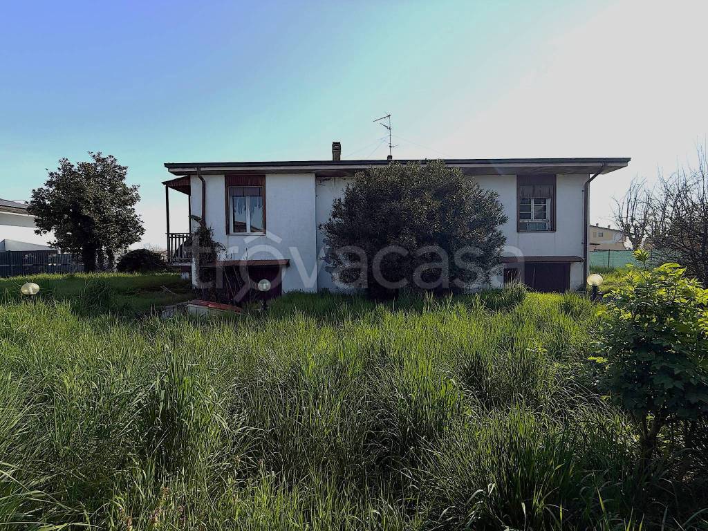 immagine annuncio 7 di 14