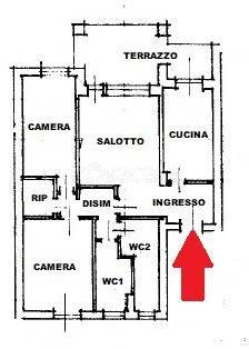 immagine annuncio 5 di 15