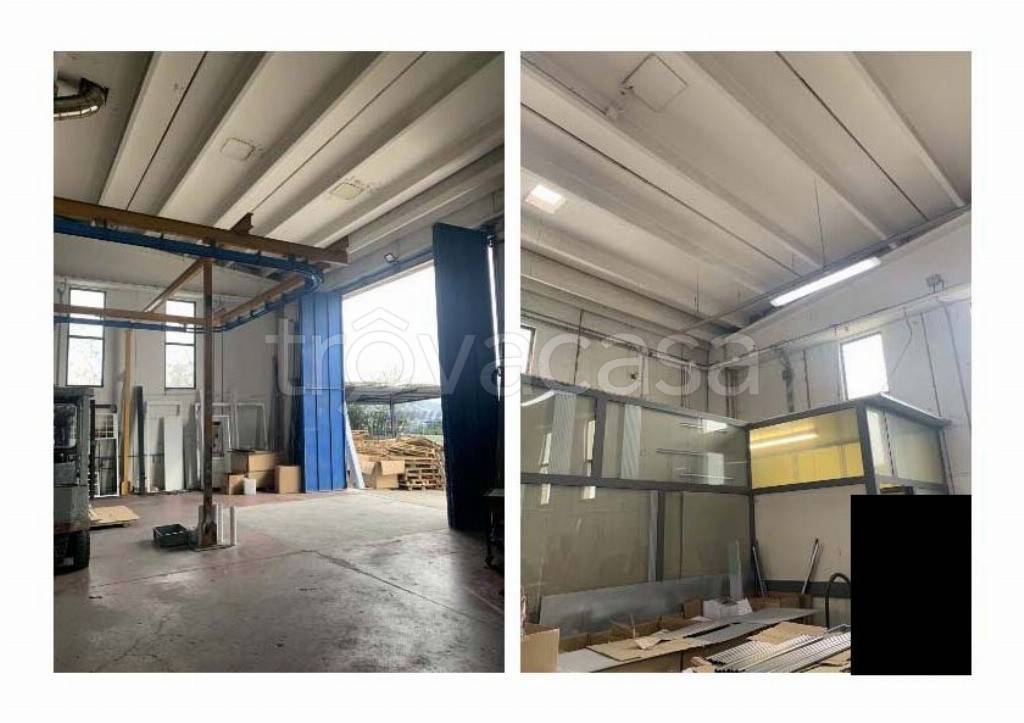 immagine annuncio 9 di 14