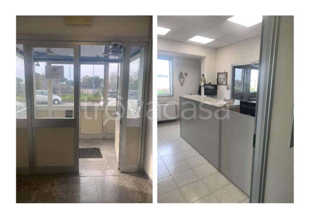 immagine annuncio 6 di 14