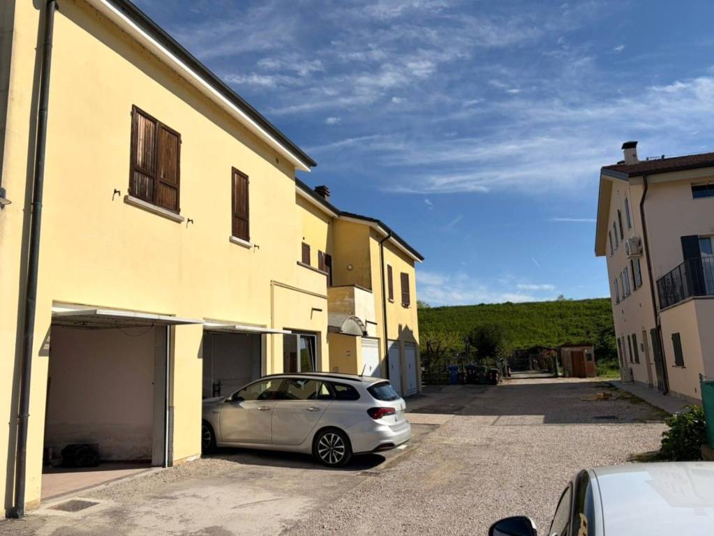 immagine annuncio 12 di 13