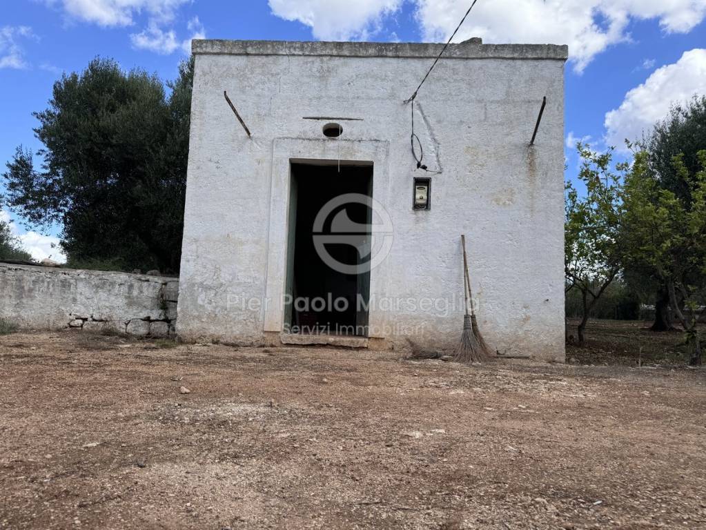 immagine annuncio 2 di 11