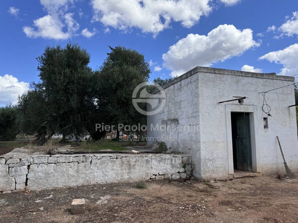 immagine annuncio 4 di 11