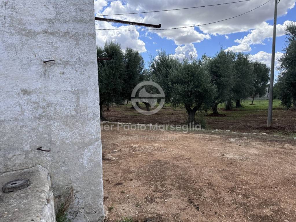 immagine annuncio 5 di 11