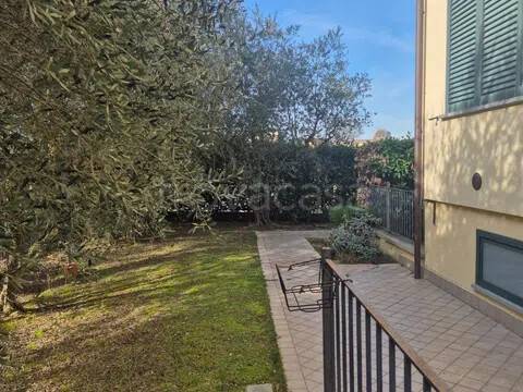 immagine annuncio 11 di 15