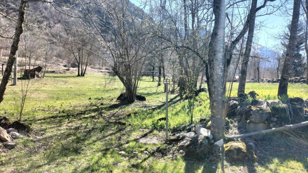 immagine annuncio 2 di 12