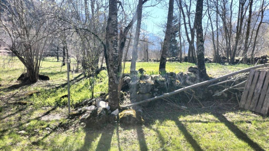 immagine annuncio 4 di 12