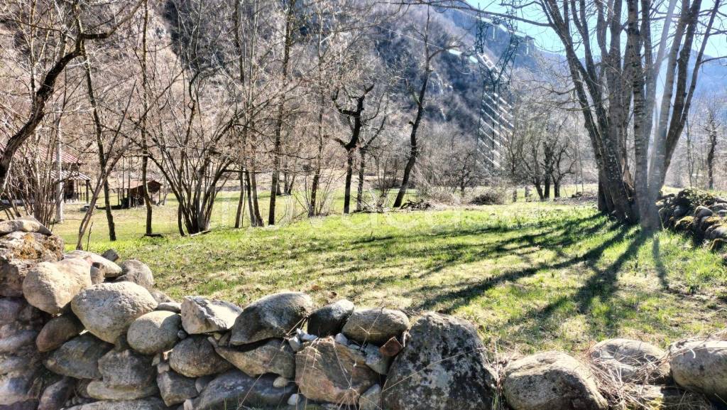 immagine annuncio 5 di 12