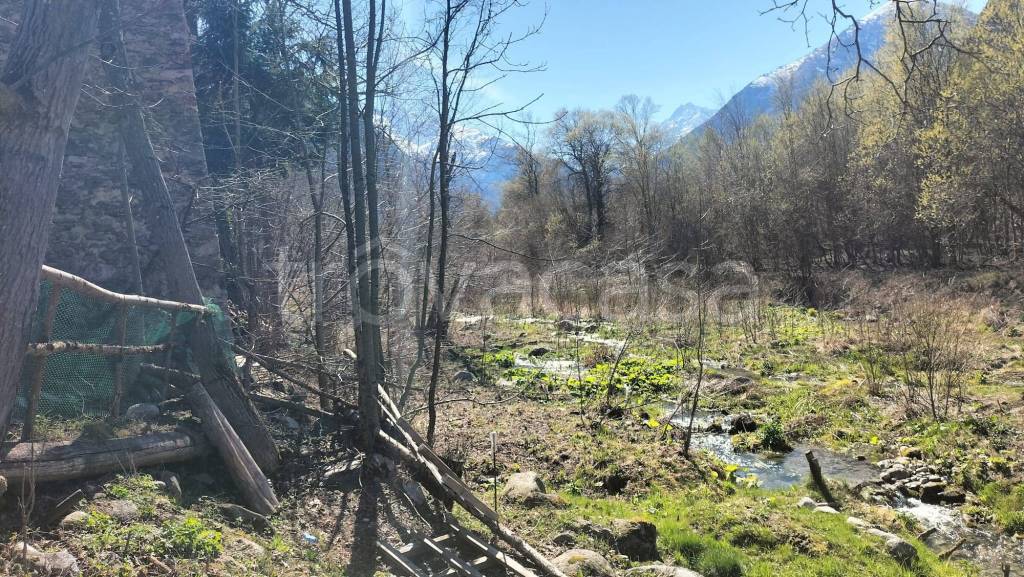 immagine annuncio 7 di 12