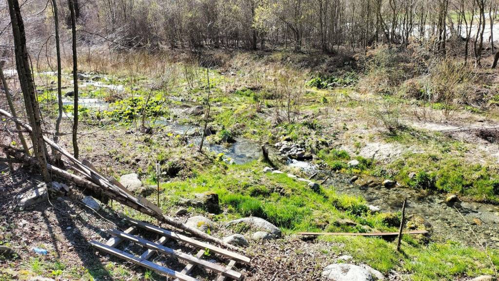 immagine annuncio 11 di 12