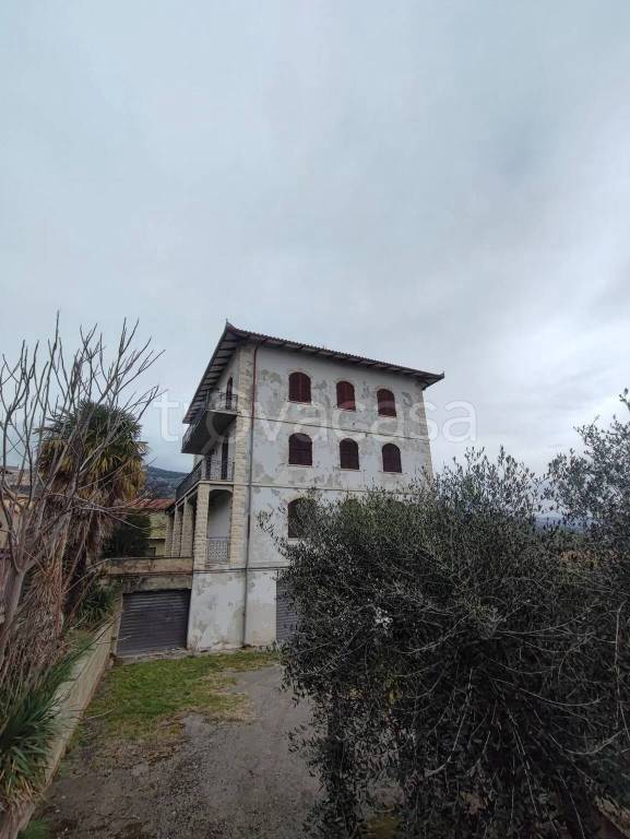 immagine annuncio 1 di 9