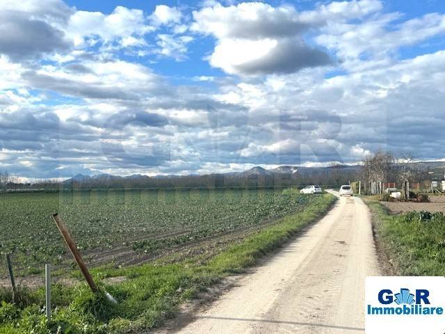 immagine annuncio 3 di 7