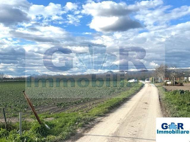 immagine annuncio 4 di 7