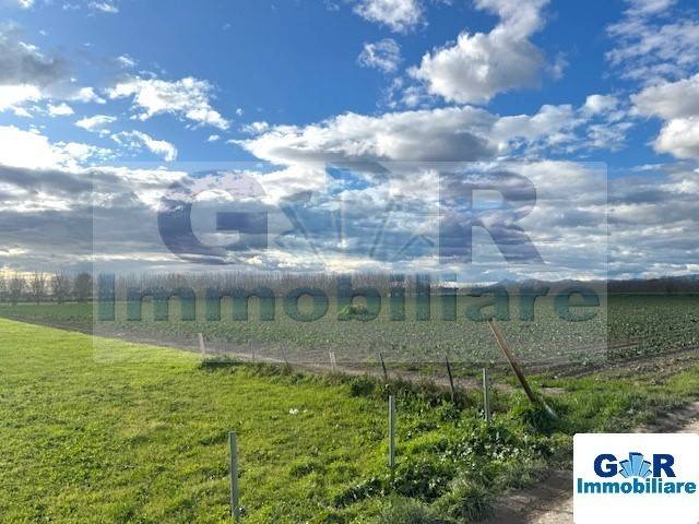 immagine annuncio 5 di 7