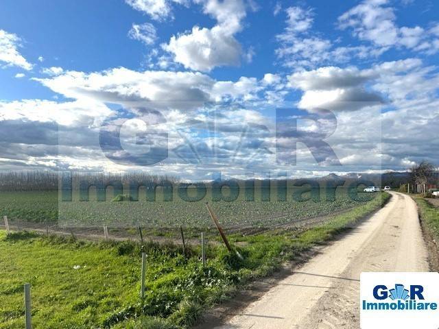 immagine annuncio 6 di 7