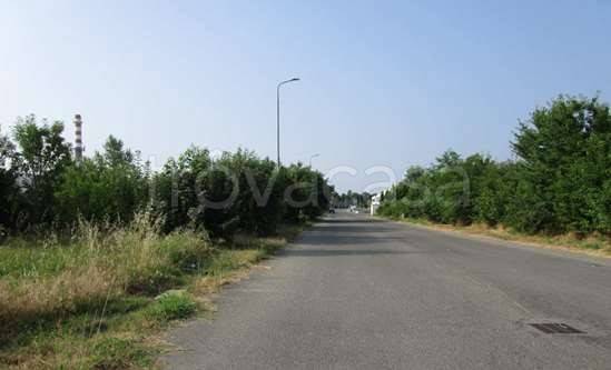 immagine annuncio 2 di 11