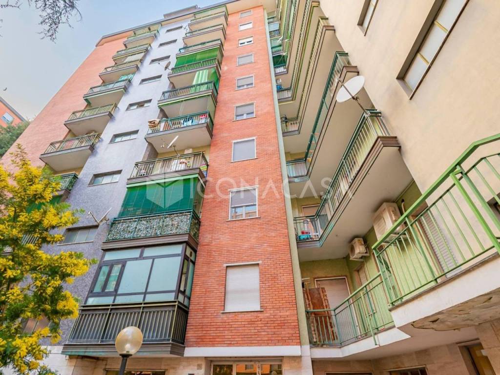 immagine annuncio 5 di 14