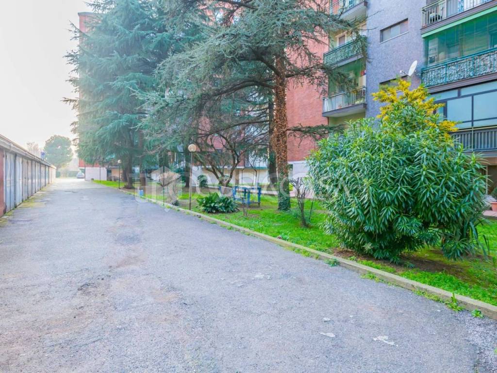 immagine annuncio 7 di 14