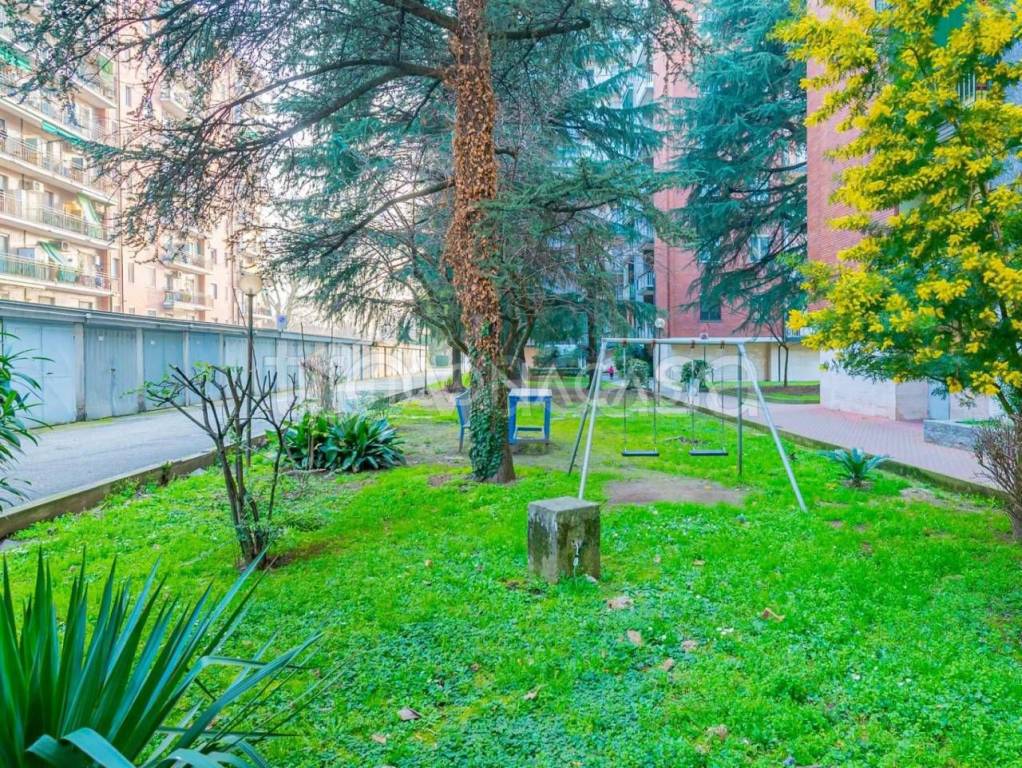 immagine annuncio 11 di 14