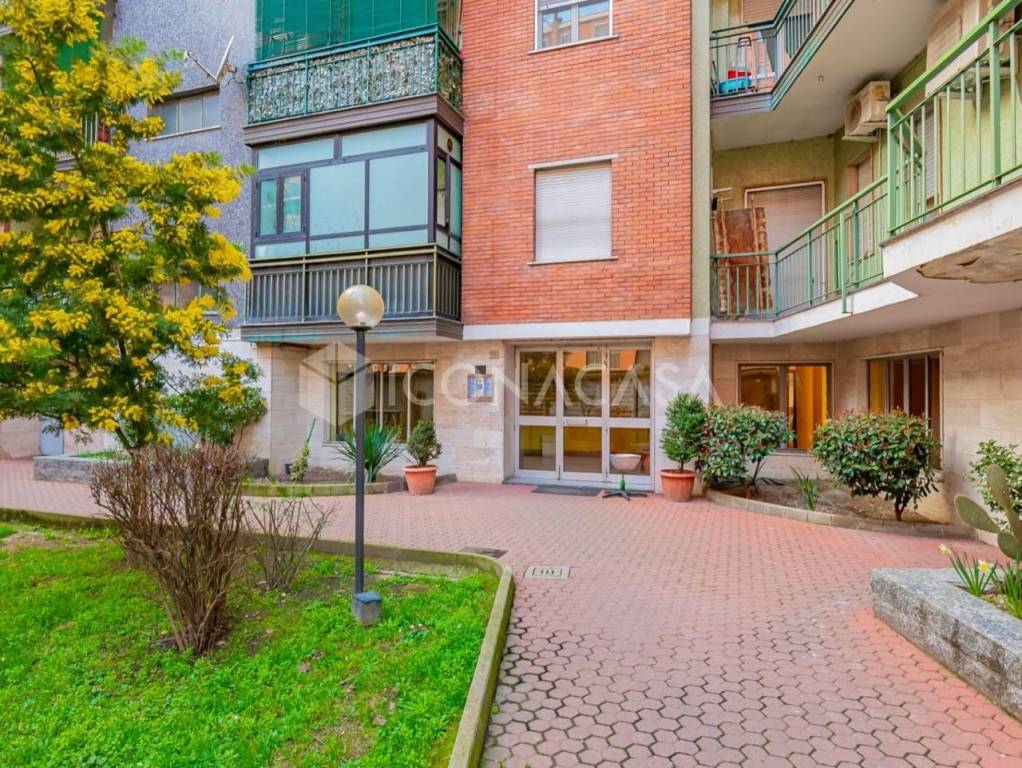 immagine annuncio 12 di 14