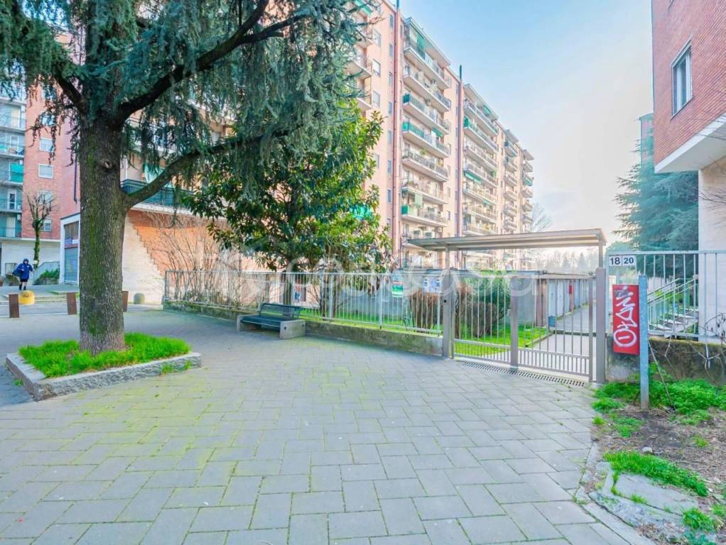 immagine annuncio 13 di 14