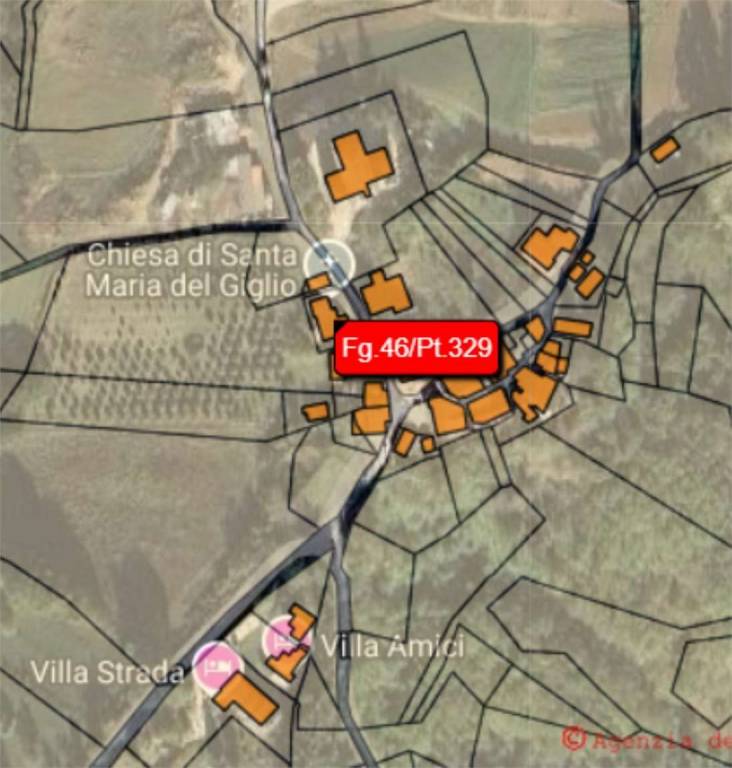 immagine annuncio 3 di 12