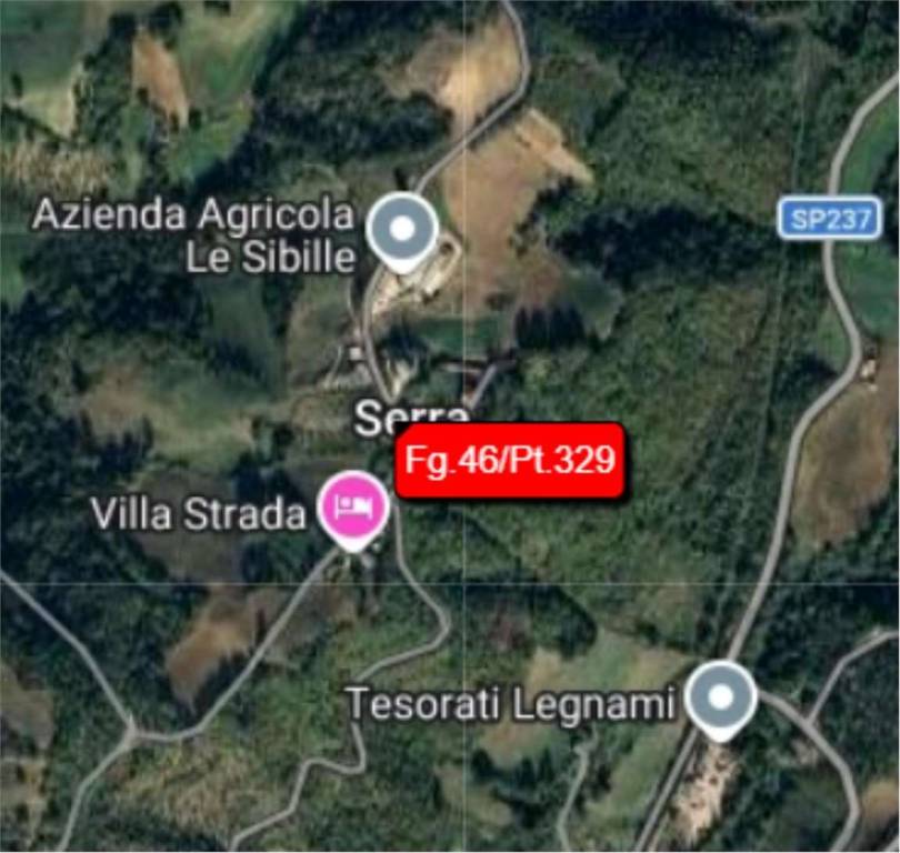 immagine annuncio 4 di 12