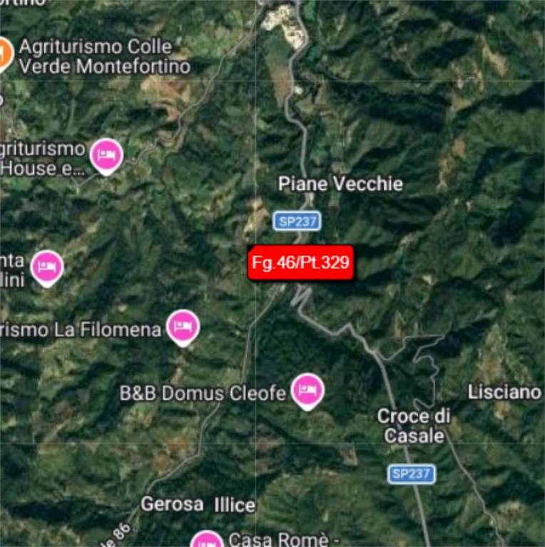 immagine annuncio 5 di 12