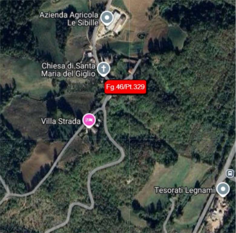 immagine annuncio 6 di 12