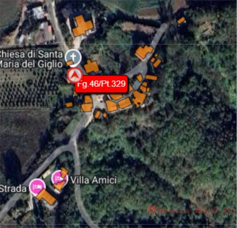 immagine annuncio 10 di 12