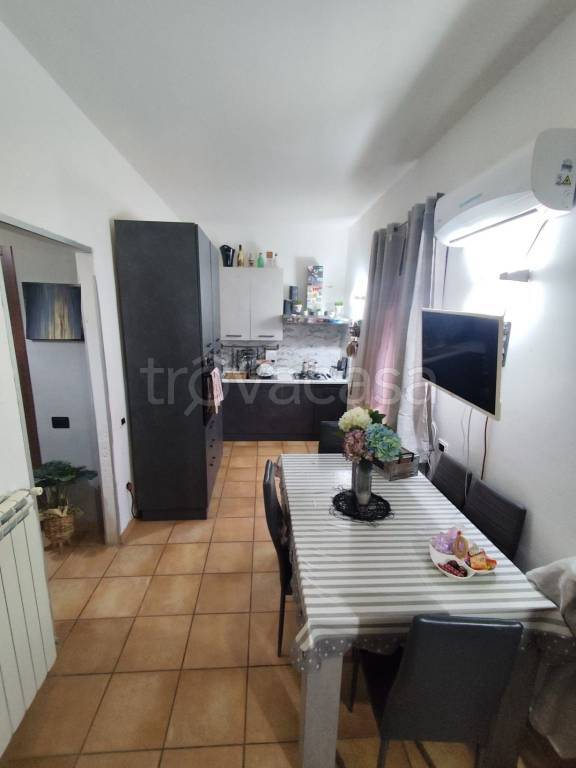 immagine annuncio 7 di 12