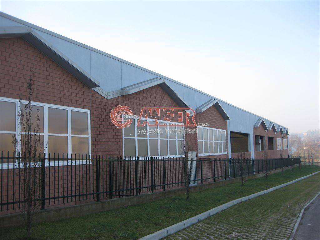 immagine annuncio 8 di 15