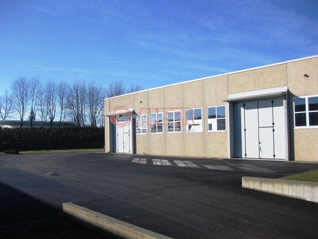 immagine annuncio 10 di 15