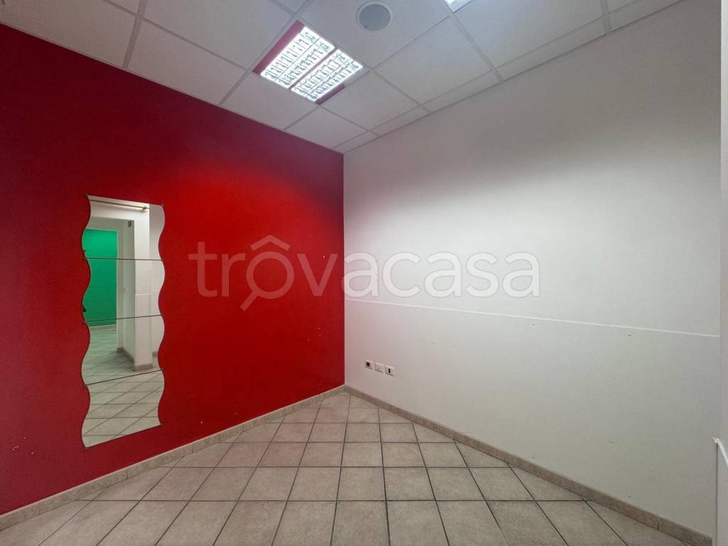 immagine annuncio 10 di 14