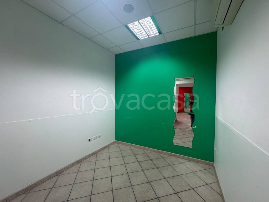 immagine annuncio 11 di 14