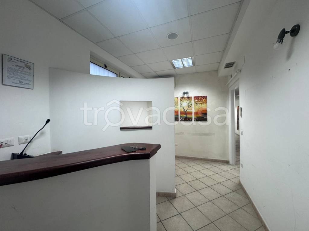 immagine annuncio 12 di 14