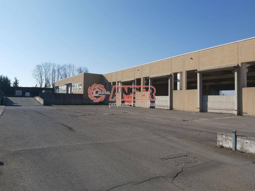 immagine annuncio 7 di 15