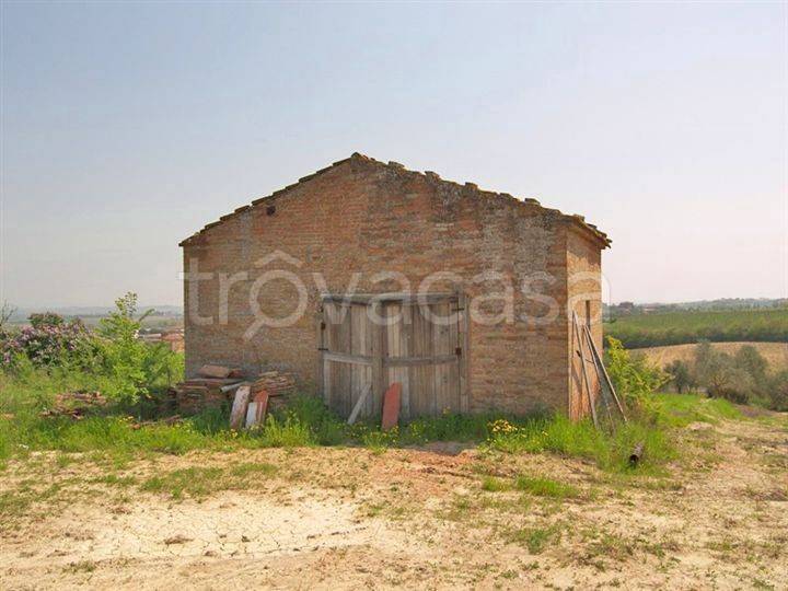 immagine annuncio 3 di 7