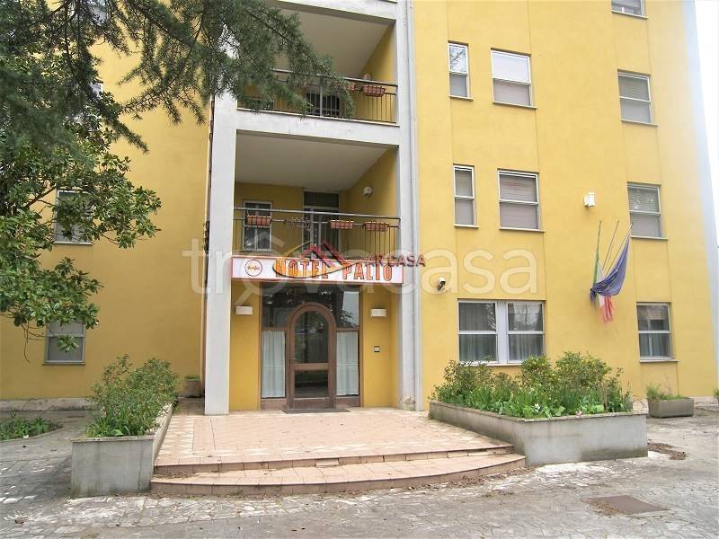 immagine annuncio 2 di 14