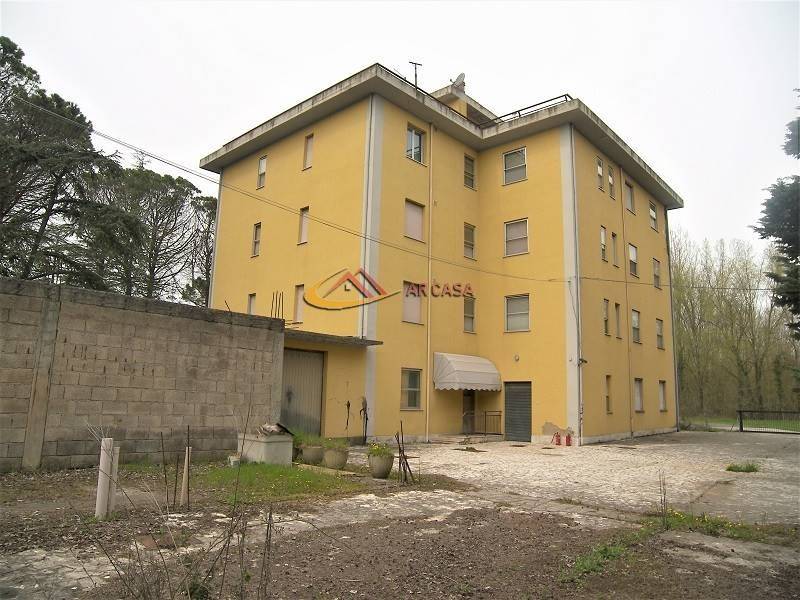 immagine annuncio 3 di 14