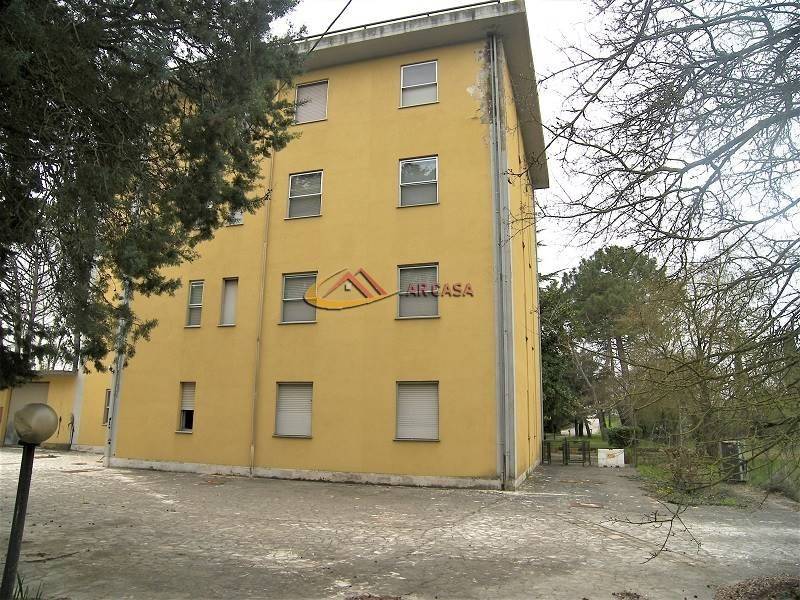 immagine annuncio 4 di 14