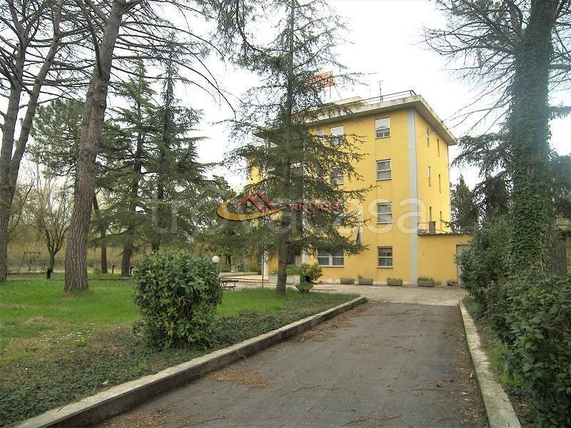 immagine annuncio 5 di 14