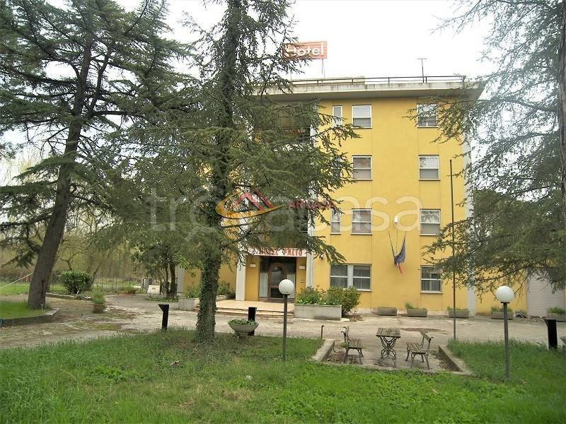 immagine annuncio 7 di 14