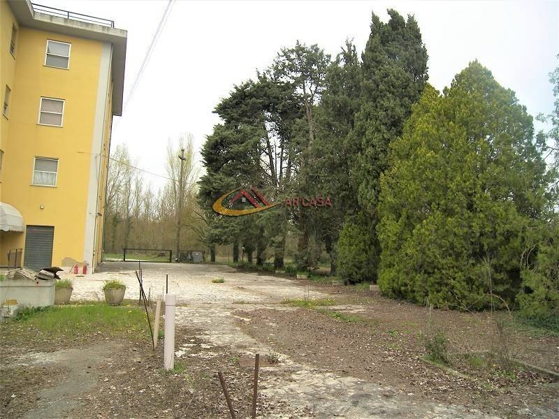 immagine annuncio 8 di 14